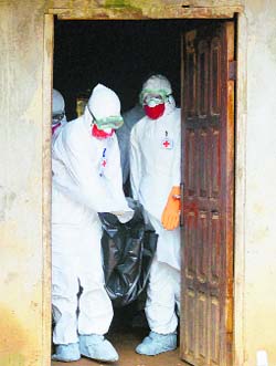 Medical workers of the Liberian Red Cross carry the body of a victim of the Ebola virus in a bag in Monrovia.