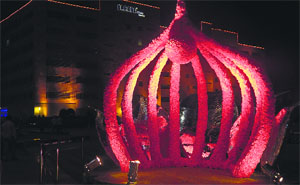 The Chandigarh malls wear a colourful look