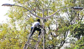 An MC electrician repairs the streetlight near the Hall Gate in Amritsar on Monday.