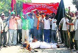 Employees burn an effigy of Finance Minister in Fazilka on Tuesday