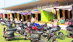 A view of stalls at the cracker market