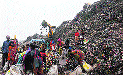 A huge garbage dump at Wariana