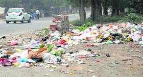 Just a few days after the launch of the Swachh Bharat campaign, garbage dumped in one of the posh colonies in Ludhiana.