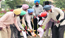 Members of the Gazetted and Non-Gazetted Employees Union burn copies of a notification outside the Deputy Commissioners office in Bathinda on Monday.Tribune photo
