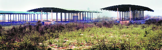 The cattle fair ground at Nabipur village in Fatehgarh Sahib. A Tribune photograph