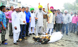 A section of angry Congress workers burn an effigy of PPCC president Partap Singh Bajwa in Ludhiana on Monday. Accusing Bajwa of encouraging groupism, the workers are demanding that he be immediately removed from his post. Tribune photo