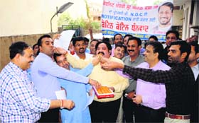 The Property Dealers and Colonisers Association and supporters of Local Bodies Minister Anil Joshi celebrate the issuance of notification in Amritsar on Tuesday.