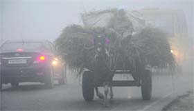 A car and a cart make their way through thick fog in Amritsar on Tuesday.