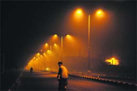 Smog engulfs a road in Sector 56, Chandigarh, on Tuesday