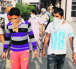 Robbers, wanted in many criminal cases, who were arrested by the city police in Amritsar on Wednesday.