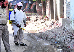 Fogging was carried out in the area