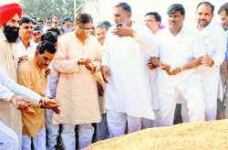 Agriculture Minister OP Dhankar inspects a variety of paddy during his visit to the new grain market in Karnal on Thursday. TRIBUNE PHOTO: RAVI KUMAR