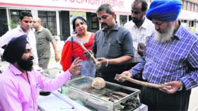 People take a look at the bones of 1857 heroes, which were excavated from the well of the martyrs at Ajnala, displayed at the Desh Bhagat Yadgaar Hall during Mela Ghadri Babeyan Da in Jalandhar on Thursday.