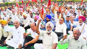 Activists of the CPI, CPI-M, CPM-Punjab and CPI-ML (Liberation) in Ludhiana on Thursday.