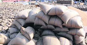 Farmers of Haryana are getting lower price for their produce because of paddy from Punjab.