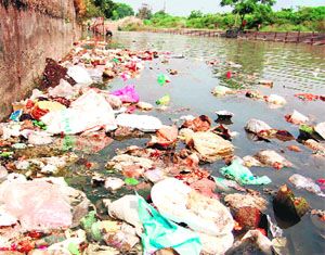 The condition of the Ganga canal and the adjoining ghats in Haridwar on Friday leaves a lot to be desired.