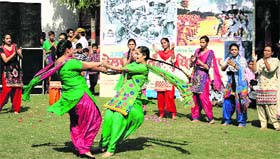 Artistes present an item on the concluding day of Mela Gadri Babeyan Da at Desh Bhagat Hall in Jalandhar on Saturday.