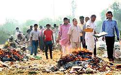 BJP workers dispose of waste collected on the banks of the Sutlej in Ludhiana on Saturday