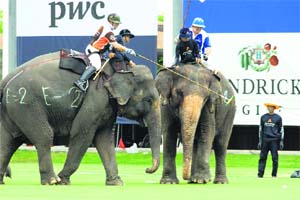 Introduced in Thailand in 2001, the Kings Cup Elephant Polo is one of the biggest charitable events in the country