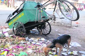 A broken garbage collection rehri with filth scattered around