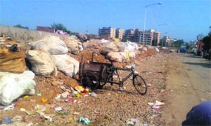 Bags full of garbage lie unattended at Sector 17 in Panchkula.