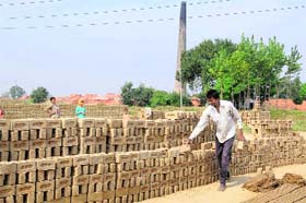 A labourer engaged in preparing bricks at a brick-kiln in Amritsar