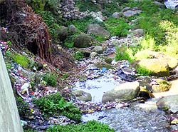 Hospital waste lies strewn in one of the streams in Kangra. 