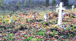The Christian cemetery in Srinagar. Photo: Yawar Kabli