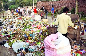 Heaps of garbage dumped near the cremation ground in Barewal, Ludhiana. 