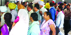 Residents queue up at a counter of the Sub-Registrar office in Ludhiana on Tuesday. A Tribune Photograph 