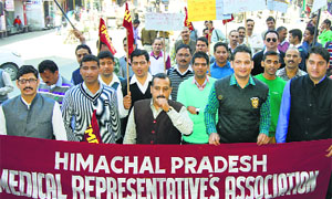 Medical representatives take out a rally in Mandi on Wednesday.