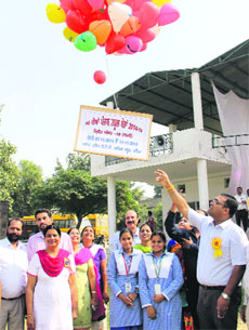DC Basant Garg inaugurates the Punjab State Cricket Tournament in Bathinda on Friday.