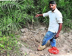 Veer Pal, a rag picker, who spotted Mehram Singhs body and informed the police, shows the spot where the body was found at Sector 69, Mohali, on Saturday