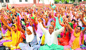 Members of the Mid-Day Meal Workers Union stage a protest in front of the DC office in Jalandhar on Saturday.
