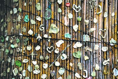 Gum homage: A picture shows pieces of chewing-gum stuck on a tree near the grave of US singer Jim Morrison at the Pere-Lachaise cemetery in Paris. From flowers and portraits of Morrison to chewed chewing-gum stuck on a nearby tree, homages of all sorts are laid at the tomb of The Doors’ singer, who died at 27 in Paris on July 3, 1971.