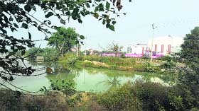 A lake of sewage near Chaudhary Devi Lal University in Sirsa