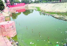 Lake Bidhikiyar in Kaithal is drying up without canal water supply
