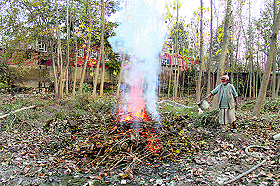 A man burns firewood to make charcoal on the outskirts of Srinagar on Sunday. 