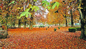 A deserted municipal park in Srinagar.