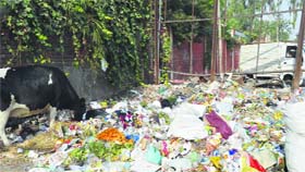 Garbage lying near Khalsa College for Women in Ludhiana