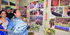 Governor Urmila Singh visits an exhibition during the four-day International Lavi Fair at Rampur in Shimla district on Tuesday.