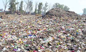 The garbage dump at Bhagtanwala, Amritsar