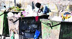 A day before Childrens Day, a girl child struggles for survival, collecting garbage from dustbins