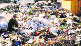 Heaps of garbage in the middle of a road in Sector 9, Panchkula, on Friday.