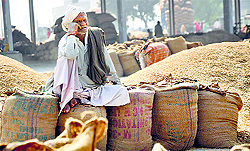 A farmer sitting idle at the new grain market in Karnal