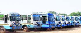 Haryana Roadways buses lined up at the police lines in Hisar to remove Sant Rampal followers as cops close in to nab the godman