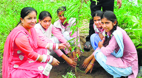 Afforestation drive being undertaken with students at Badoli village, Una.