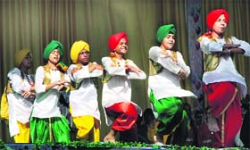 in sync: Students of St Soldier Public School perform bhangra during a cultural programme in Jalandhar on Sunday