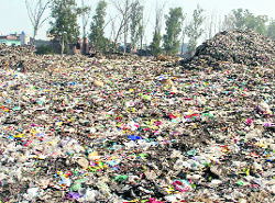 Garbage dumping site at Bhagtanwala in Amritsar. 