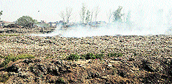 Heaps of garbage at Bhagtanwala dump yard in Amritsar on Tuesday